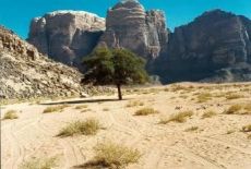 Wadi Rum